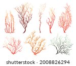 corals set  floral colorful... | Shutterstock . vector #2008826294