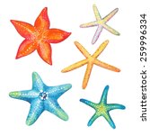 Collection Of Starfish...