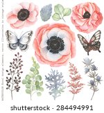 Collection Of Watercolor Floral ...