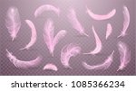   Vector Pink Feathers...