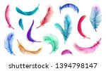 vector color feathers...