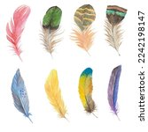 Small photo of Feathers are epidermal growths that form a distinctive outer covering, or plumage, on both avian and some non-avian dinosaurs and other archosaurs.