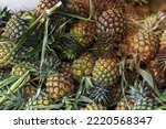 A Pineapples Pile At Market