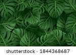 jungle exotic composition... | Shutterstock . vector #1844368687