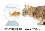 Cat And  Gold Fish   Symbol Of...