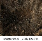 Small photo of Deep pit in the ground. In the pit lies a Sapper shovel. Digging a hole. hole dug for campfire. Dig a hole. Planting or searching. top view.