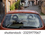 Small photo of Back window of orange, brown car parked on the street near houses, rear view. Mock-up for sticker or decals. rear view. Kutaisi, Georgia. Transparent glass with reflection. empty vehicle.