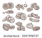 sketch set of dried fruits.... | Shutterstock .eps vector #2047398737