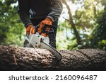 Small photo of Cordless Chainsaw. Close-up of woodcutter sawing chain saw in motion, sawdust fly to sides. Chainsaw in motion. Hard wood working in forest. Sawdust fly around. Firewood processing.