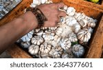 Small photo of Texture of fresh garlic sold in traditional markets, one of the healthiest spices.