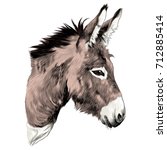 Donkey Sketch Vector Graphics...