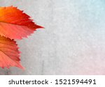 Small photo of Autumn or fall Leaves On A Gray Background. Texture Subtext with copy space for text.