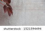 Small photo of Autumn or fall Leaves On A Gray Background. Texture Subtext with copy space for text.