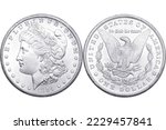 The 1884 Morgan Silver Dollar...