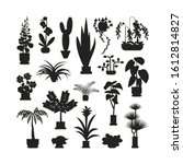Set Of Home Plants Silhouette...