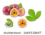 passion fruit with leaf on... | Shutterstock . vector #1669118647