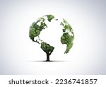 Tree shaped like the World map. Green World Map- tree shaped of world map isolated on white background. 