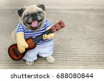 Indy musician guitarist pug dog....