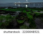 Algae Covered Rocks Infront Of...