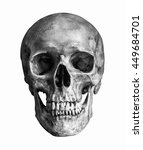 Black and White Human skull, isolated on white background with clipping path