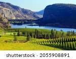 View of Blue Mountain Vineyard with McIntyre Bluff and Vaseux Lake in the background located in the Okanagan Valley in Okanagan Falls, British Columbia, Canada.