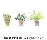 watercolor of plant decoration... | Shutterstock . vector #2154374467
