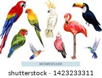 vector hand drawn collection of ... | Shutterstock .eps vector #1423233311