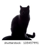  cat silhouette sitting on white