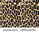 Exotic Colorful Leopard Design...