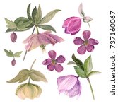 Set Of Watercolor Botanical...