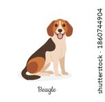 beagle. vector illustration of... | Shutterstock .eps vector #1860744904