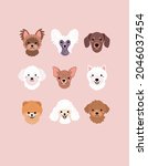 small breeds of dogs faces... | Shutterstock .eps vector #2046037454