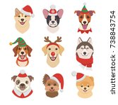 Christmas Dogs Faces Collection....