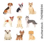 Dogs Collection. Vector...