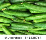 Cucumbers. Cucumber Harvest....