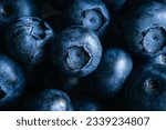 Fresh blueberry background, texture blueberry berries close up, macro shot.