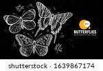 butterflies. set of hand... | Shutterstock .eps vector #1639867174