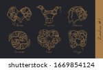 set of vector graphic... | Shutterstock .eps vector #1669854124