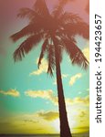 Retro Styled Lone Palm Tree In...