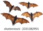 Bats flying isolated on white...