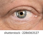 green eyes detail macro shot of an aged man