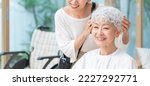 Small photo of Senior Woman and Visiting Hairdresser