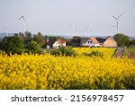 Wind turbines for renewable electricity, village houses and yellow rapeseed field.