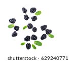 Blackberries And Leaves Top View