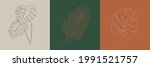 tropic leaves creative... | Shutterstock .eps vector #1991521757