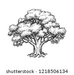 Ink Sketch Of Oak Tree. Hand...