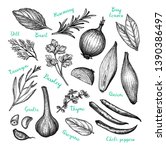 cooking ingredients. ink sketch ... | Shutterstock .eps vector #1390386497