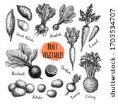 root vegetables big set. ink... | Shutterstock .eps vector #1703534707