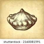 ink sketch of pattypan squash... | Shutterstock .eps vector #2160081591