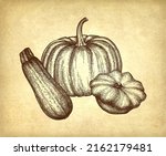 squash and pumpkin set on old... | Shutterstock .eps vector #2162179481